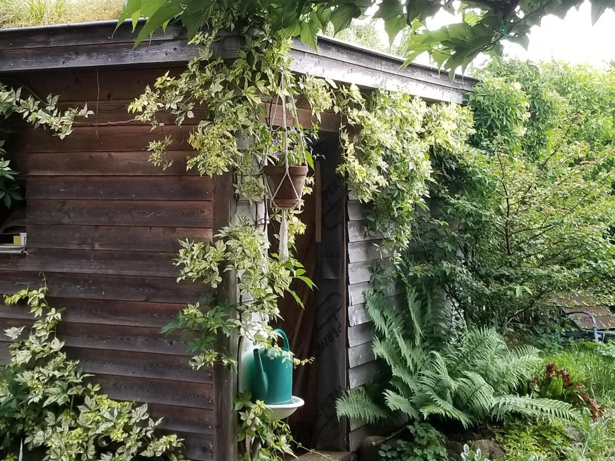 Chambre D'Hotes De Charme, Un Temps En Foret Westhouse Exterior photo